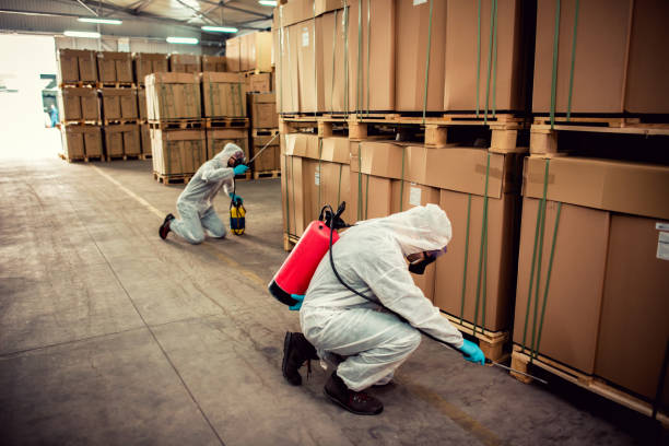 Best Pest Control Treatment  in Mojave, CA