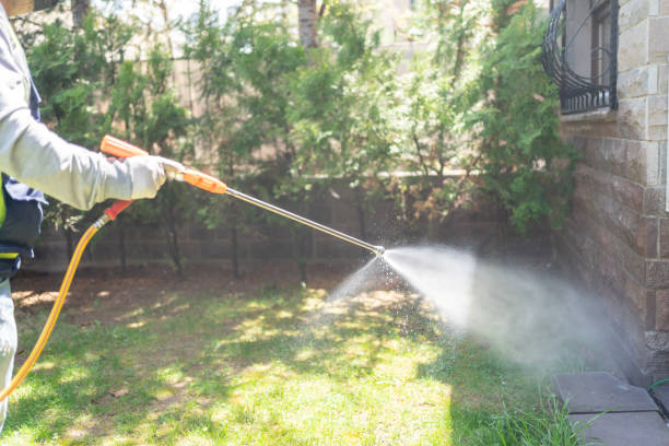 Best Commercial Pest Control Services  in Mojave, CA
